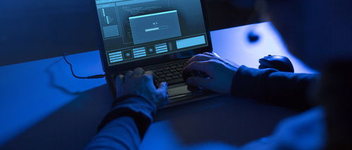 計算機科學與技術 vs 軟件工程 解析專業差異與網絡及軟件開發的聯系